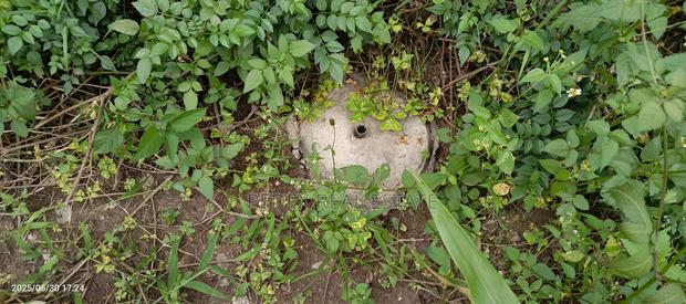 50x100 Plot in Lanet (Posta) for Sale || Pedex - thumbnail 4