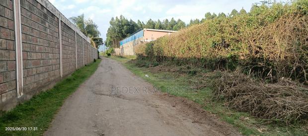 50x100 Plot in Lanet (Posta) for Sale || Pedex - thumbnail 5