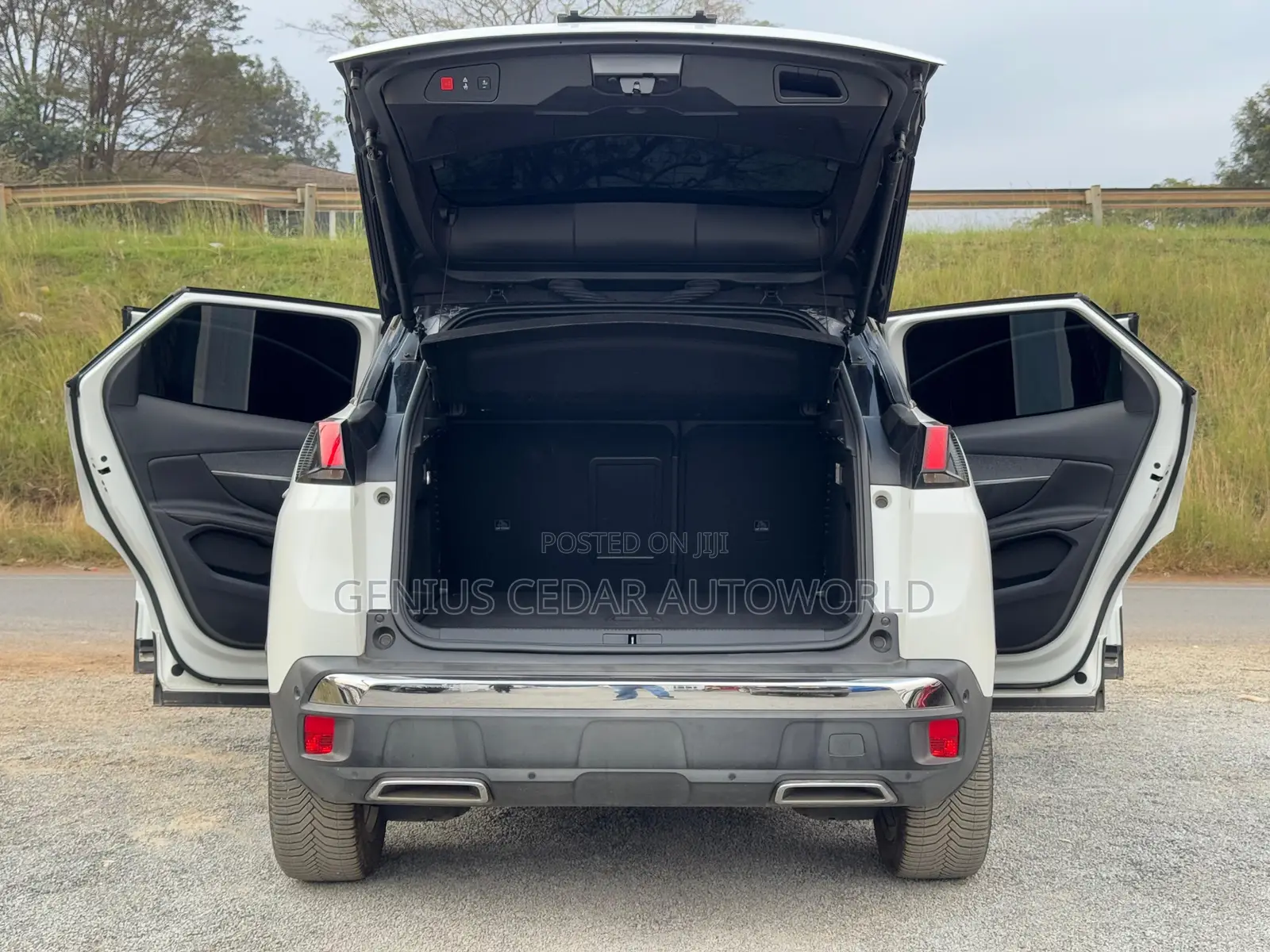 Peugeot 3008 2017 White