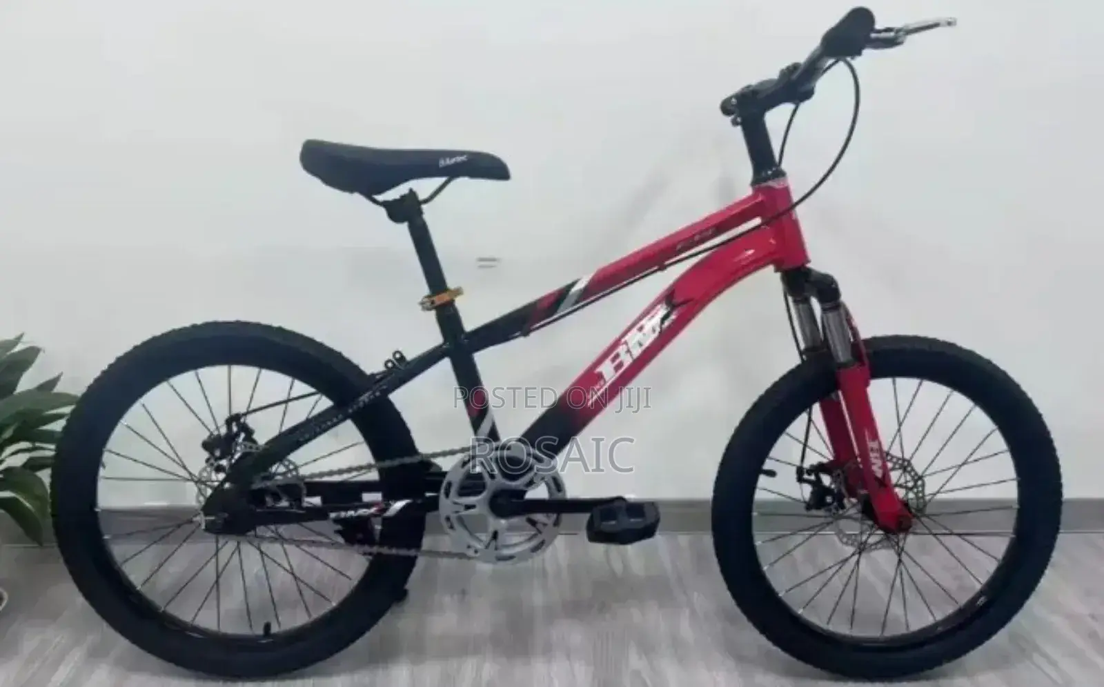 Size 24 Bike