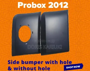 Probox/Succed Fog Cover
