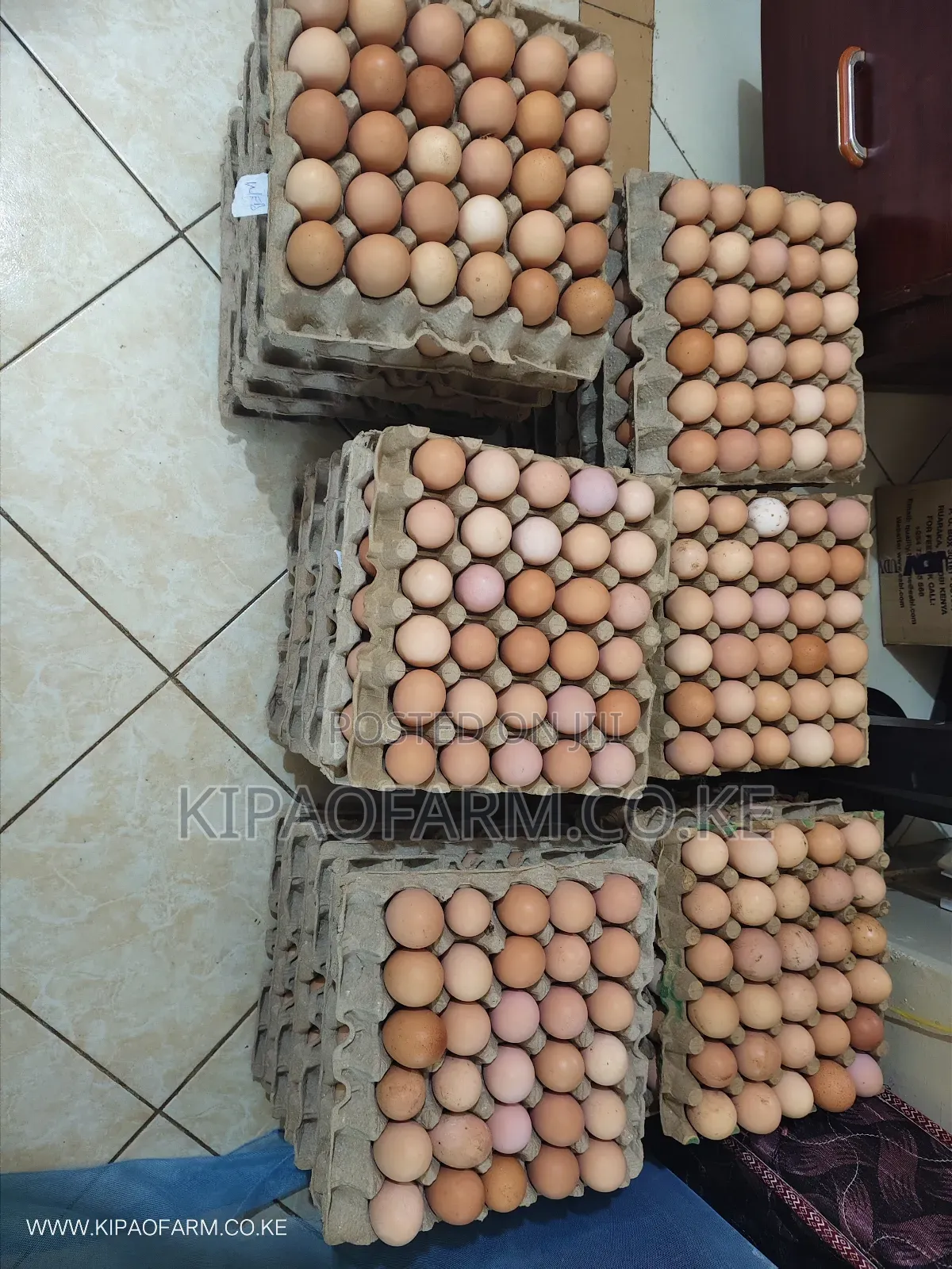 Improved Kienyeji Fertilized Eggs