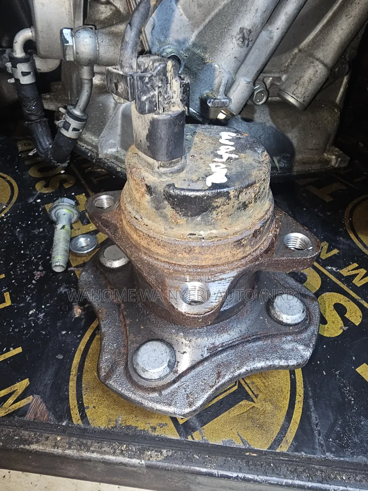 Rear Hub for Ist