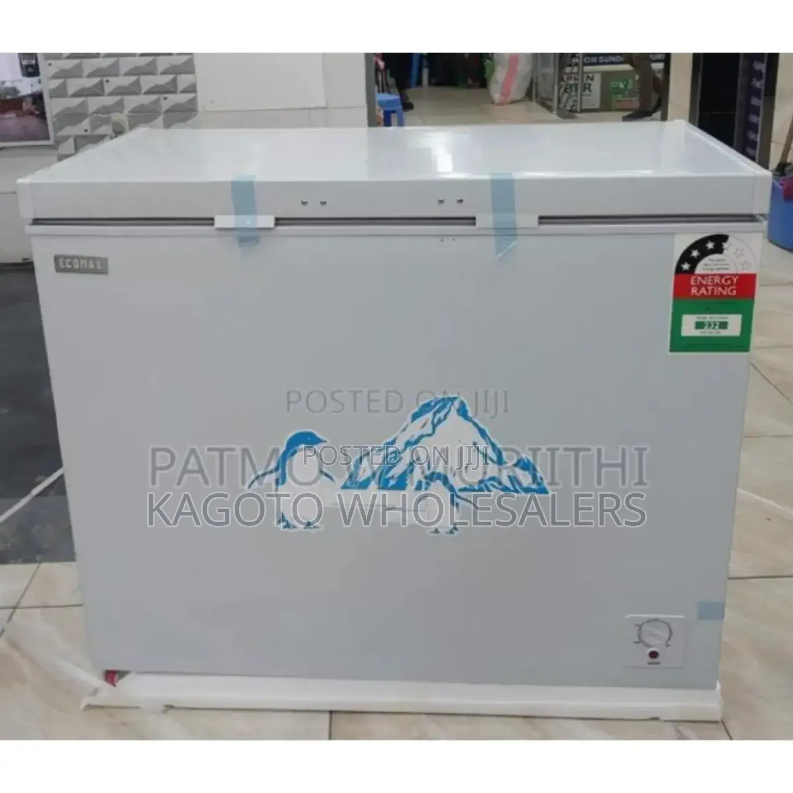 Ecomax Freezer 219litres
