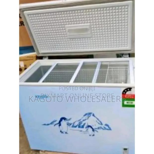 With Glass Lid at Top - Ecomax Freezer 219l. - main view