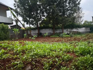 50by100 Plot for Sale in Muthiga Kikuyu Kiambu County.