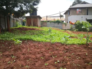 50by100 Plot for Sale in Muthiga Kikuyu Kiambu County.