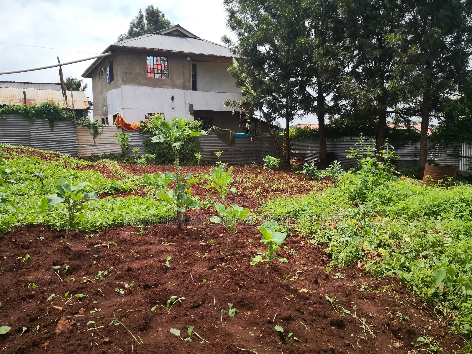 50by100 Plot for Sale in Muthiga Kikuyu Kiambu County.