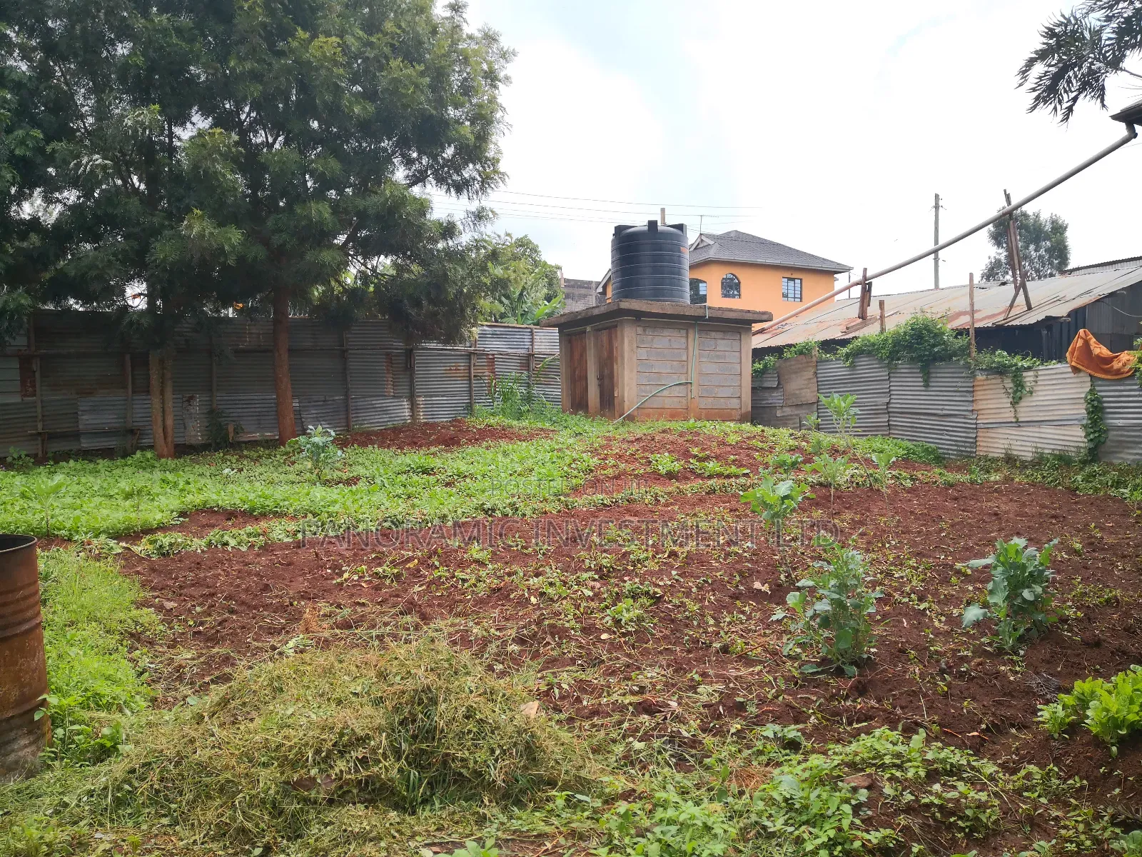 50by100 Plot for Sale in Muthiga Kikuyu Kiambu County.