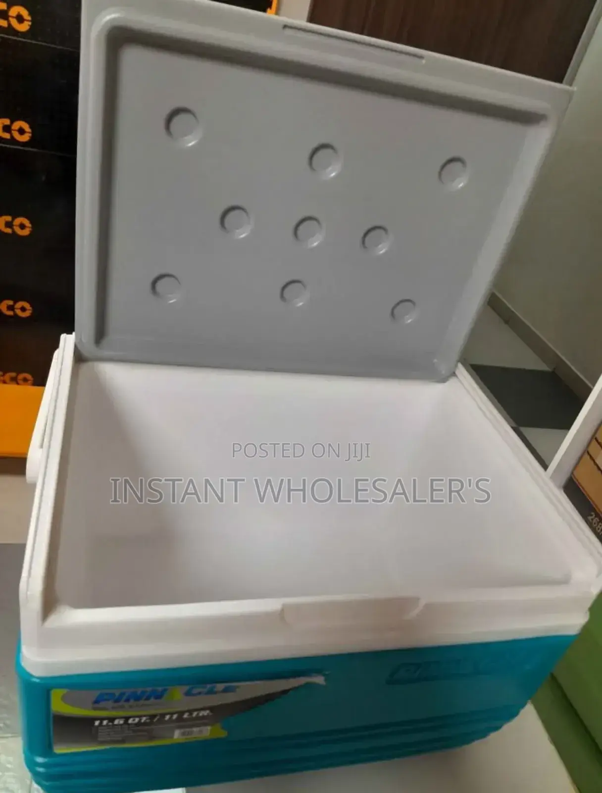 Portable Cooler Boxes 10 Litres