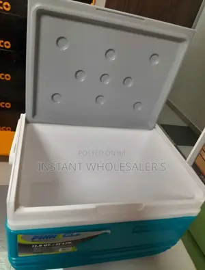 Portable Cooler Boxes 10 Litres