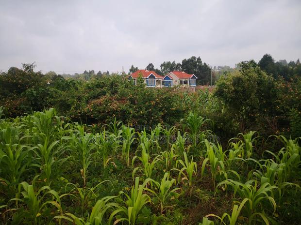 Quarter Acre Plot for Sale in Gikambura 300 MTRS From Tarmc - main view