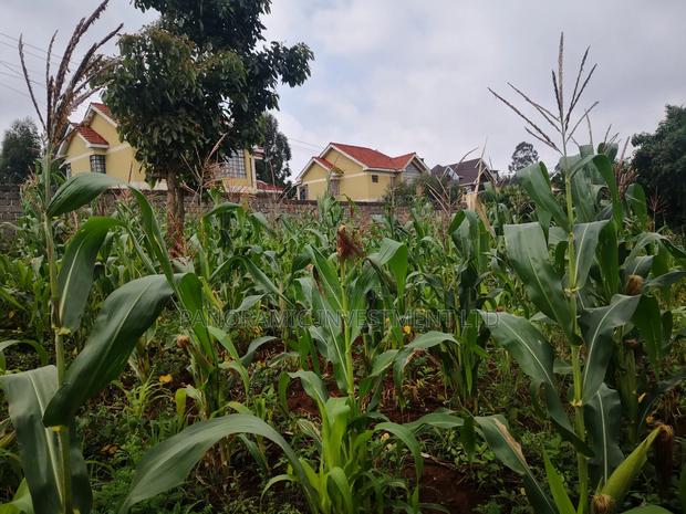 Quarter Acre Plot for Sale in Gikambura 300 MTRS From Tarmc - thumbnail 2