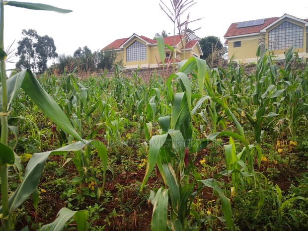 Quarter Acre Plot for Sale in Gikambura 300 MTRS From Tarmc - thumbnail 3