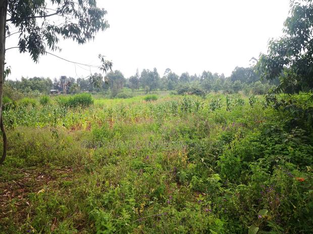 Quarter Acre Plot for Sale in Gikambura 300 MTRS From Tarmc - thumbnail 6