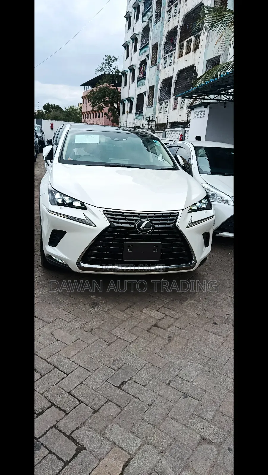 Lexus NX 2018 White
