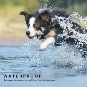 Anti Bark Ip67, 100% Waterproof Dog Training Collar - 2 Dogs