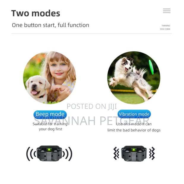 Rechargeable + Remote Control Electric Dog Training Collar - thumbnail 2