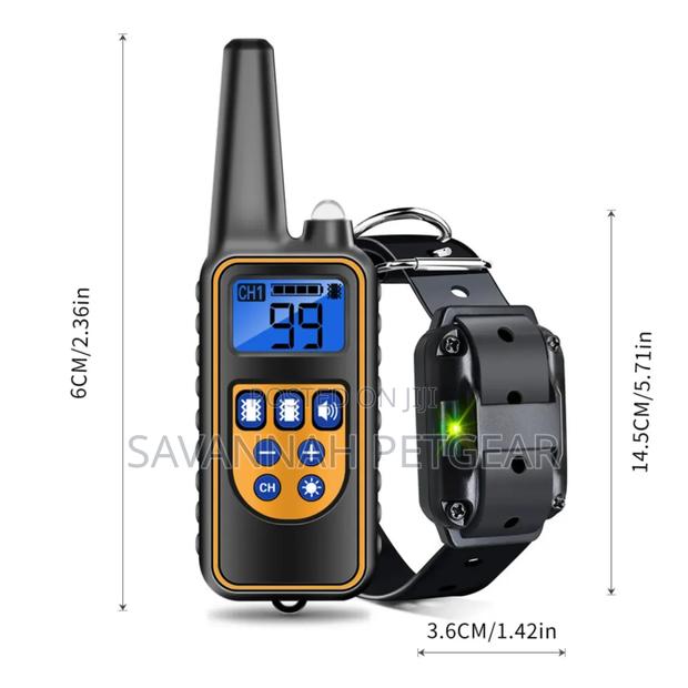 Rechargeable + Remote Control Electric Dog Training Collar - thumbnail 5