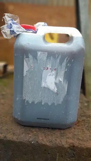 Rabbit Urine