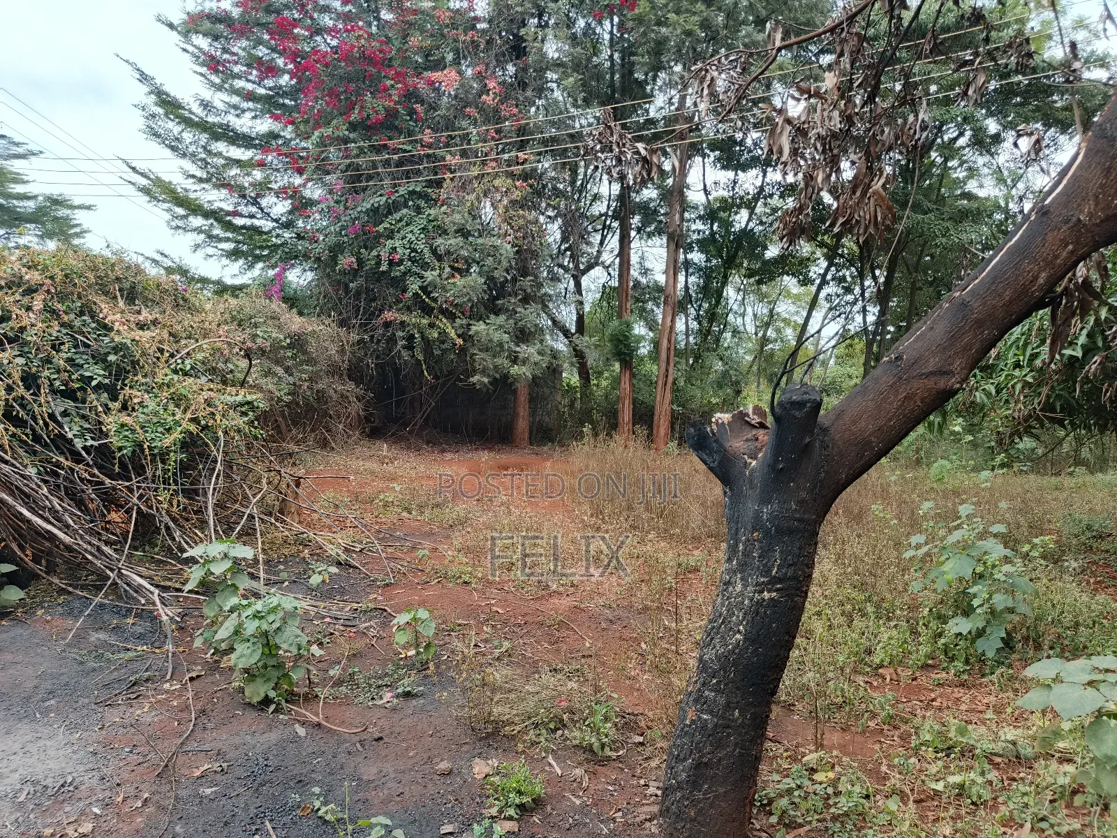 Sagana 10 Acres Red Soil