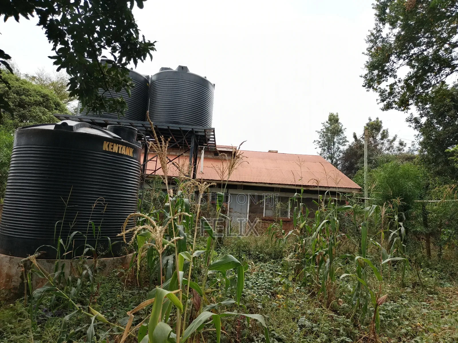 Sagana 10 Acres Red Soil