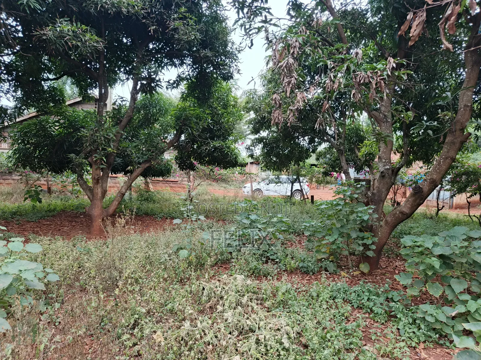 Sagana 10 Acres Red Soil