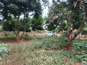 Sagana 10 Acres Red Soil