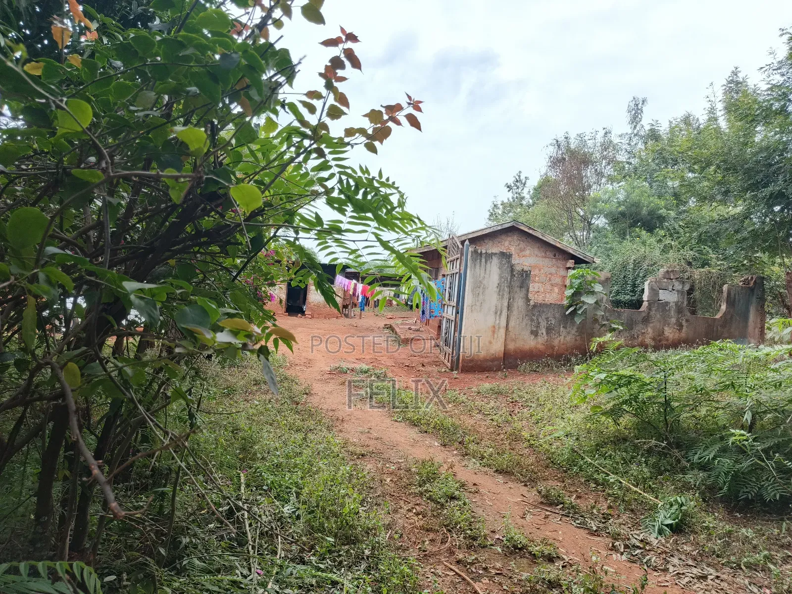Sagana 10 Acres Red Soil
