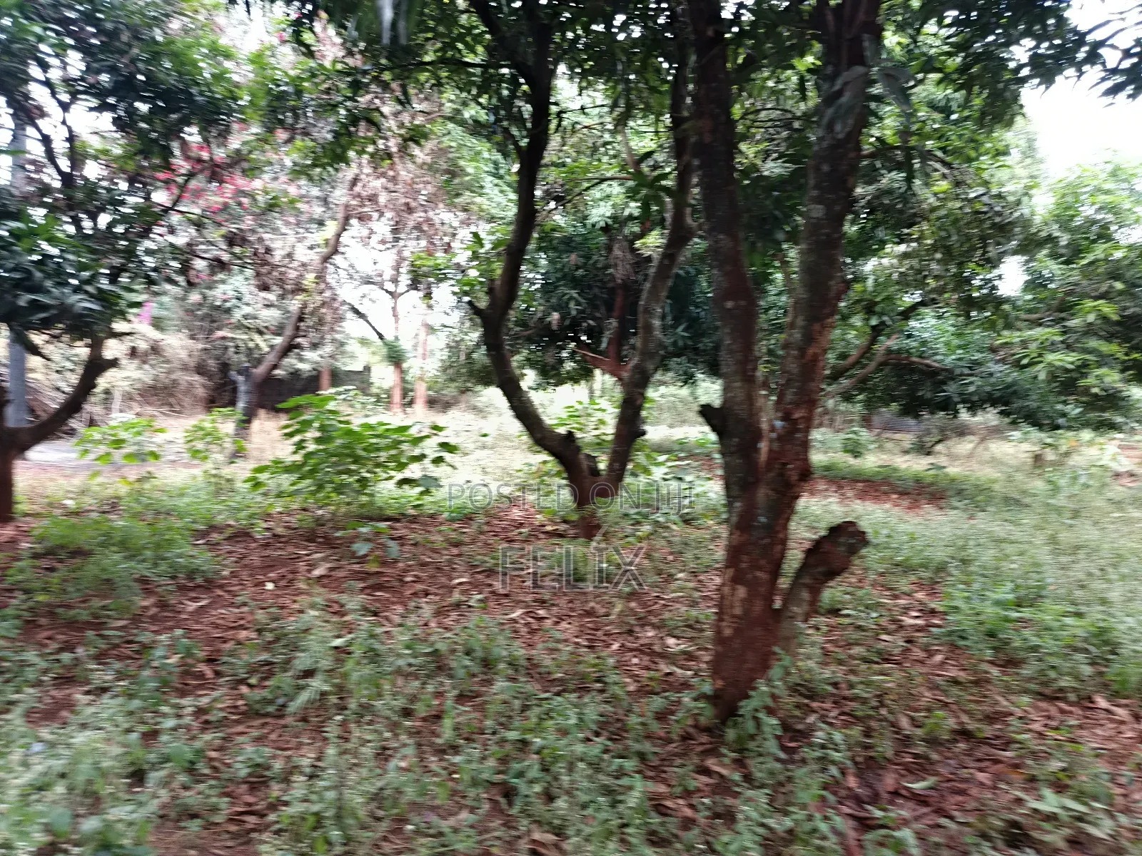 Sagana 10 Acres Red Soil