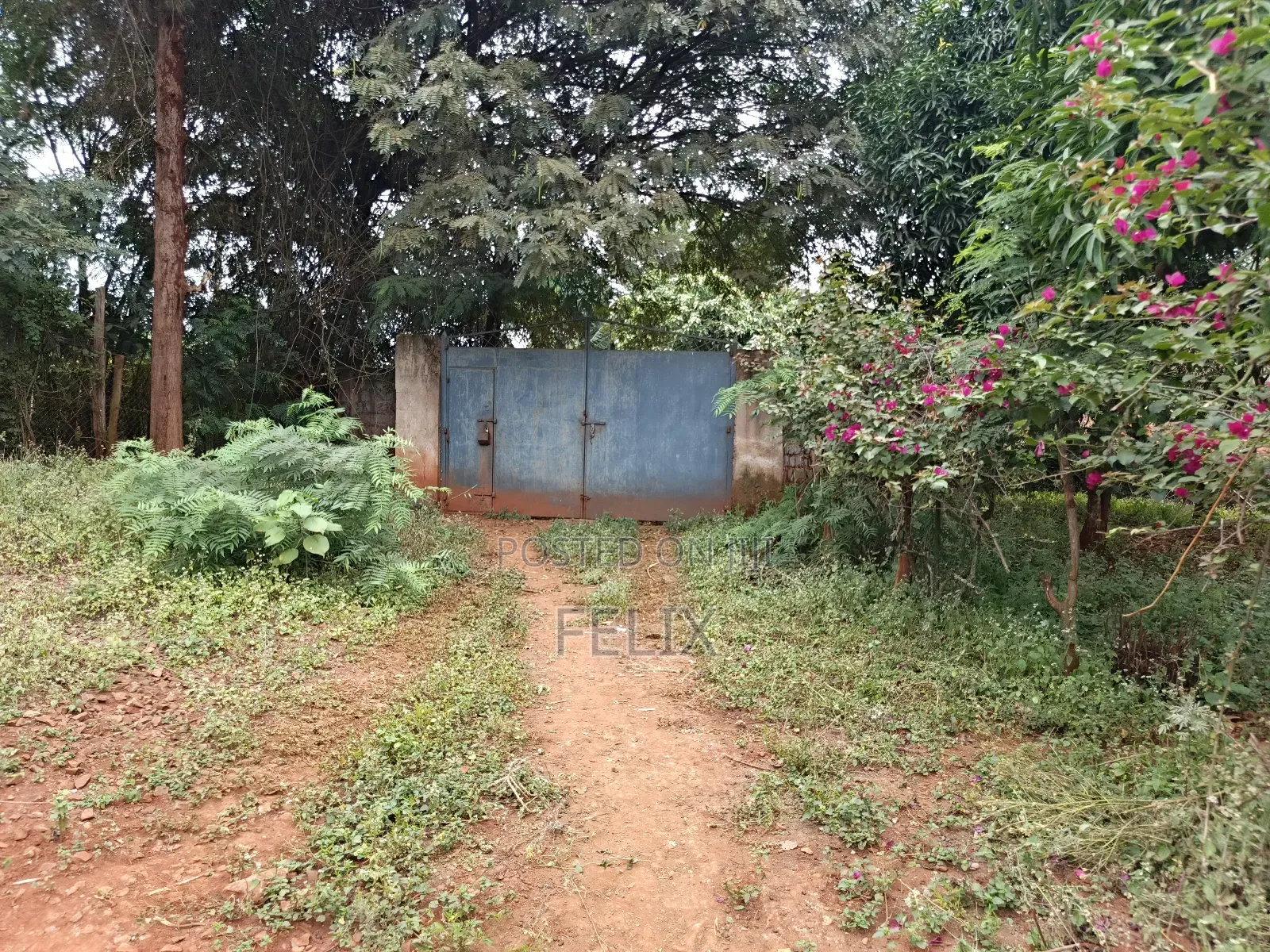 Sagana 10 Acres Red Soil