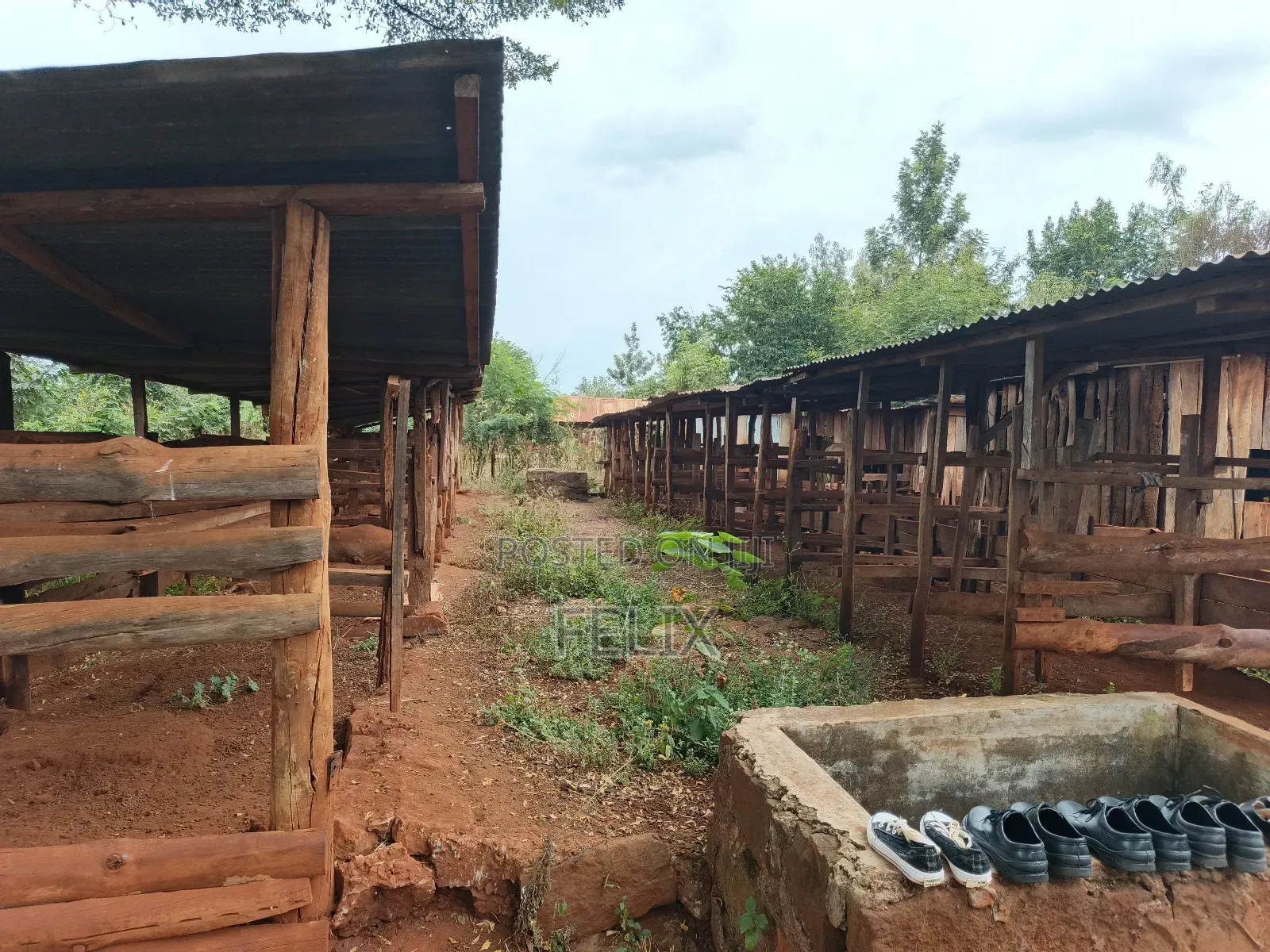 Sagana 10 Acres Red Soil