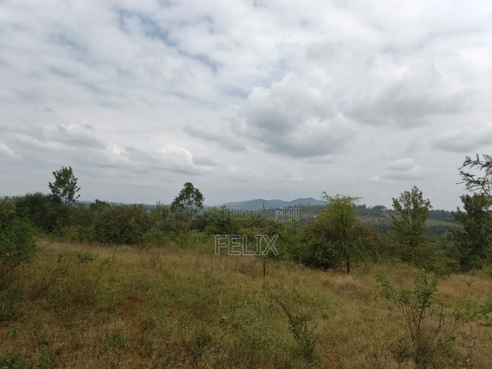 Sagana 10 Acres Red Soil
