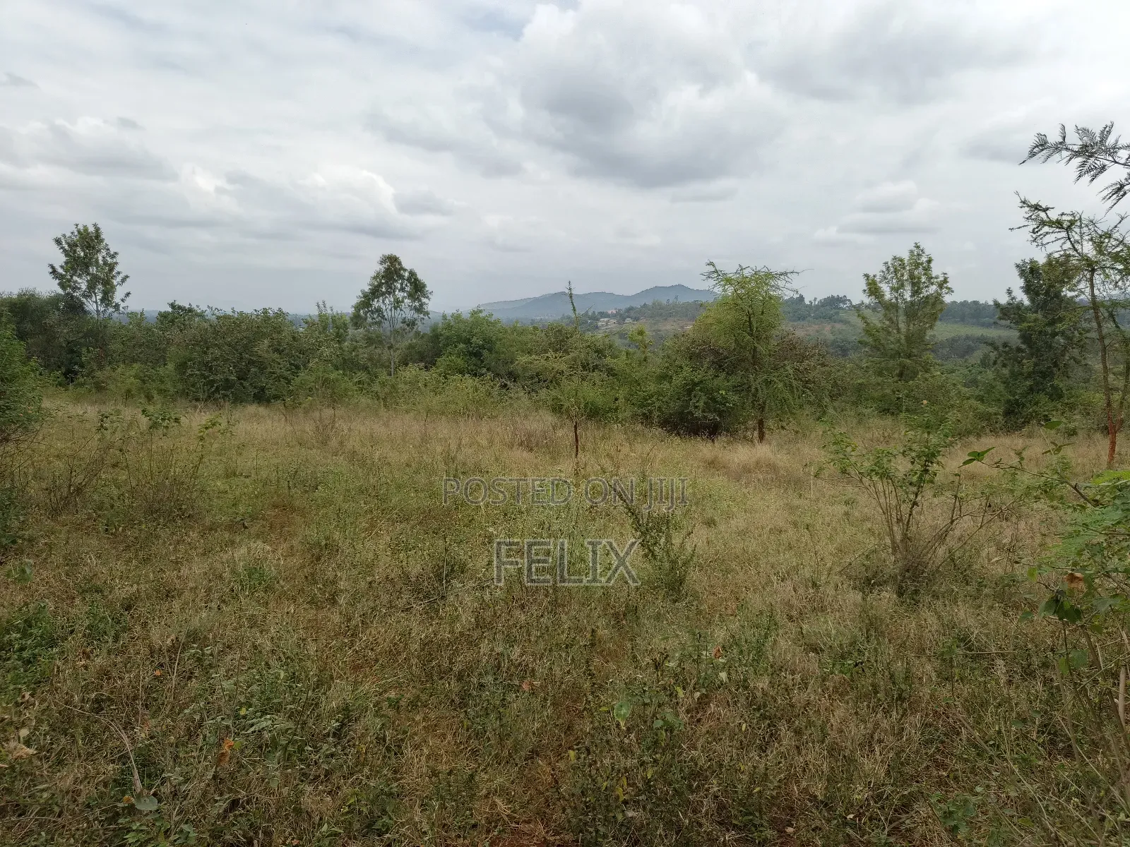 Sagana 10 Acres Red Soil