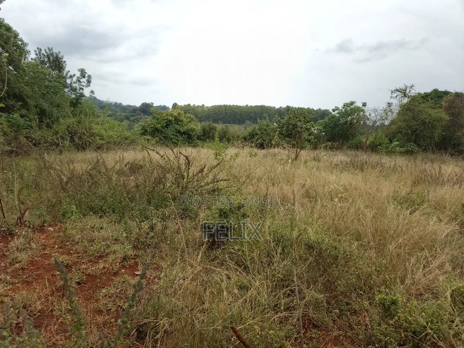 Sagana 10 Acres Red Soil