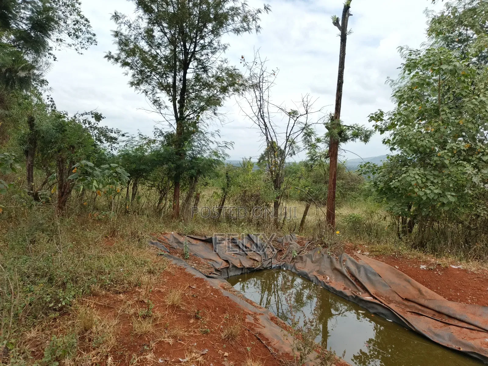 Sagana 10 Acres Red Soil