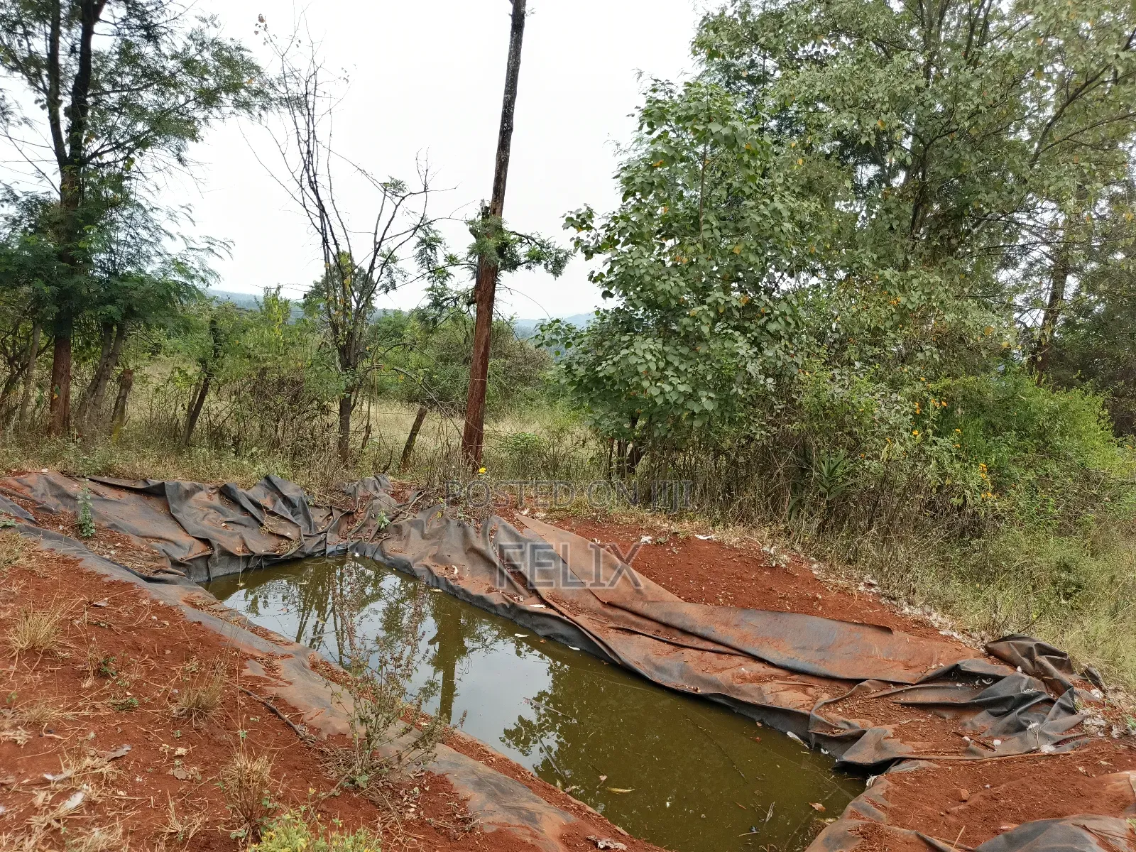 Sagana 10 Acres Red Soil