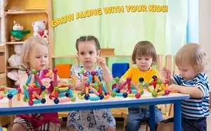 42 PCS Educational Magnet Sticks