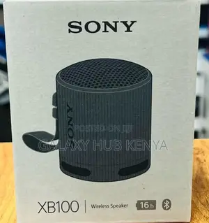 Sony SRS-Xb100 Wireless Speaker