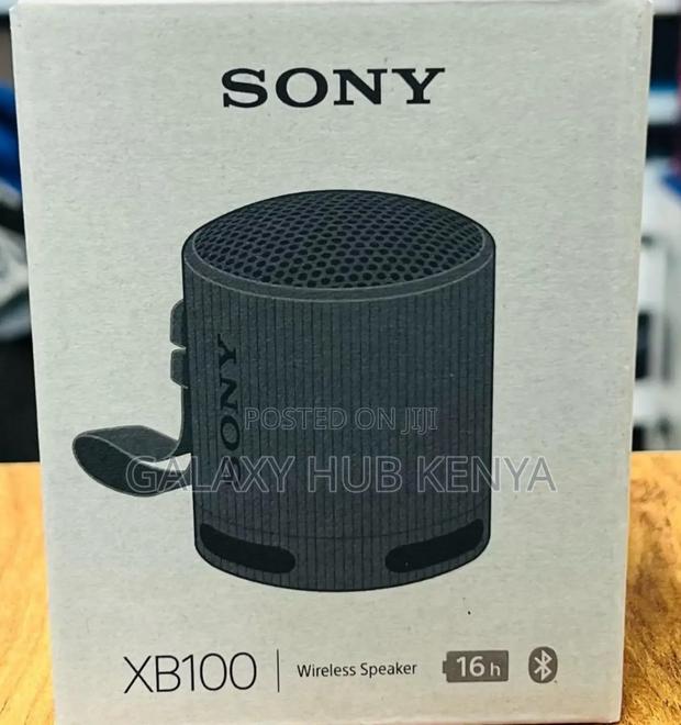 Sony SRS-Xb100 Wireless Speaker - main view