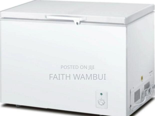 Best Quality Premier 250 Litres Freezer/250 Litres Freeze