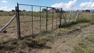 Ready Title Deed Fenced 50*100 1/8 Acre Kantafu Kagundo Road - thumbnail 2