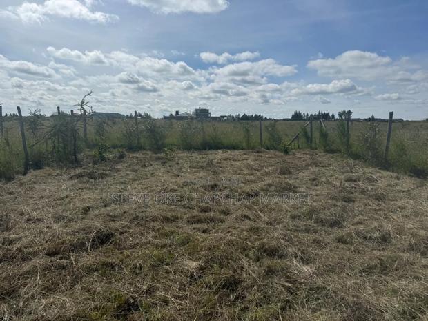 Ready Title Deed Fenced 50*100 1/8 Acre Kantafu Kagundo Road - thumbnail 4