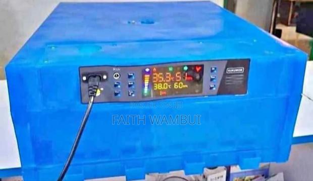 Most Selling 64 Egg Incubator/Egg Incubator 64 - main view