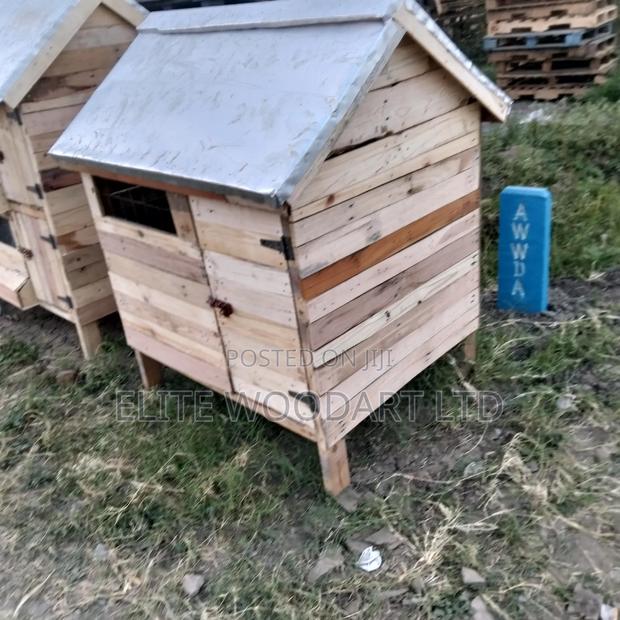 Dog Shelter/Kennel