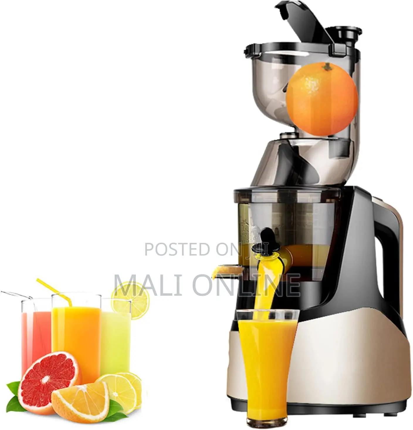 Hoffmans Hm-635 Slow Juicer 200w High Juice Yield