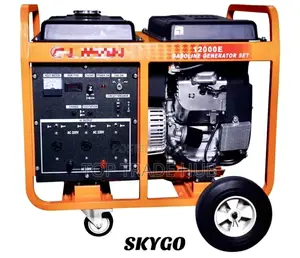Heavy Duty Skygo Petrol Generator 12kva Single Phase