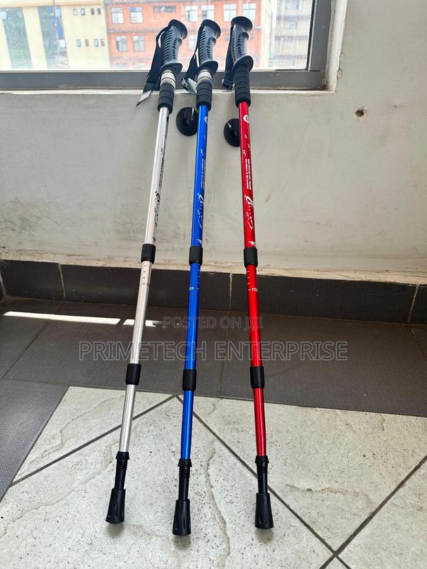 Adjustable Hiking Poles - main view