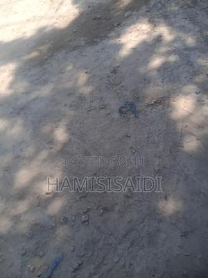 A Plot for Sale at Shanzu Majaoni Kidongo - thumbnail 2