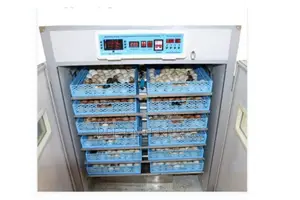 2112 Eggs Incubators Brand New